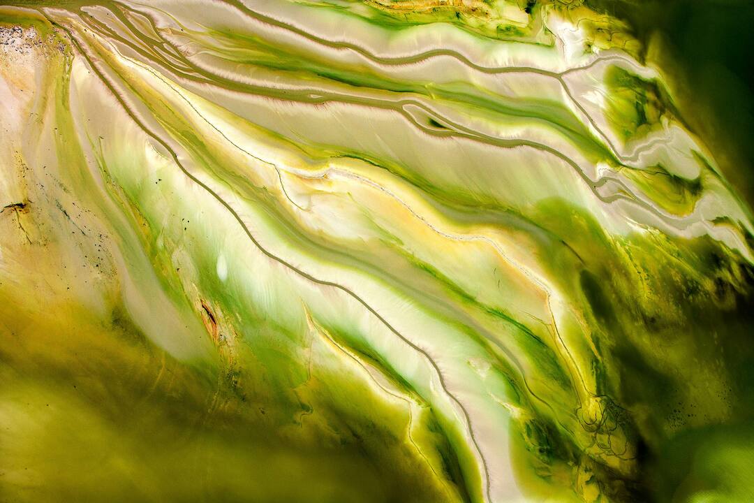 Schlossfestspiele Ludwigsburg