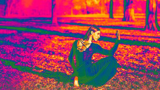 Schlossfestspiele Ludwigsburg